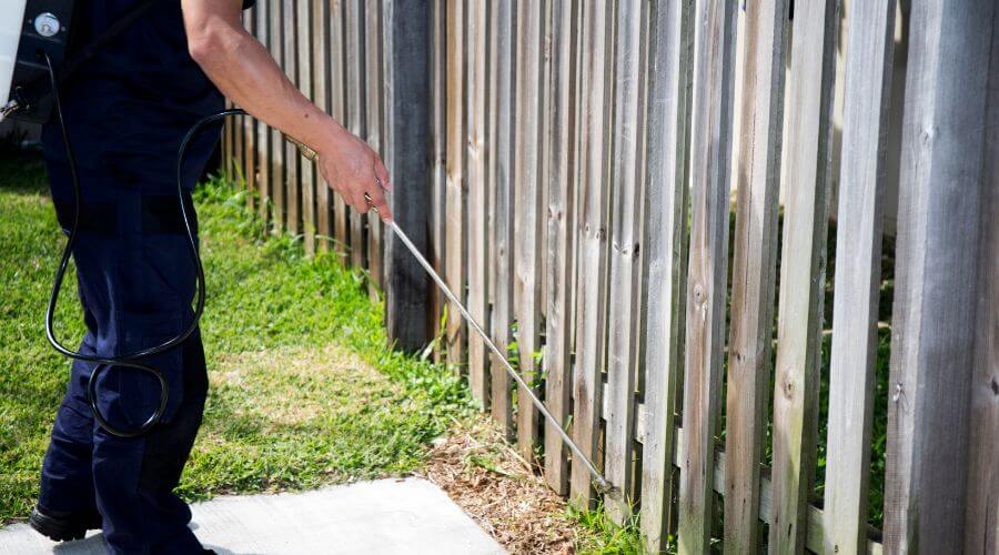 Why choose Ants & Rodents Pest Control McKinney for pest control in McKinney